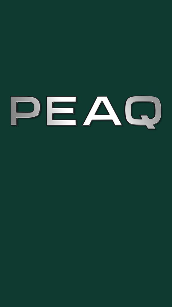 Škoda Peaq Schriftzug